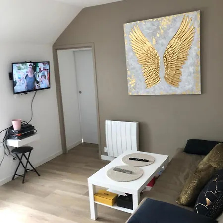 Agreable T2 Au Centre De