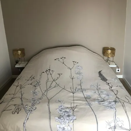 Agreable T2 Au Centre De