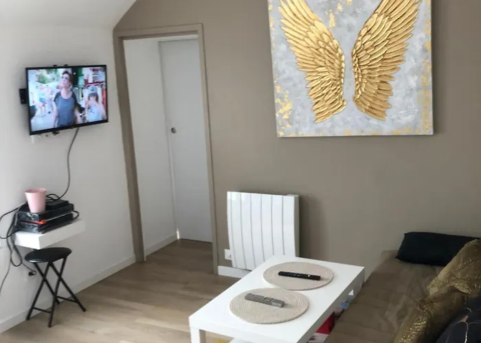 Agreable T2 Au Centre De