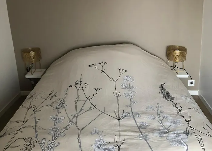 Agreable T2 Au Centre De